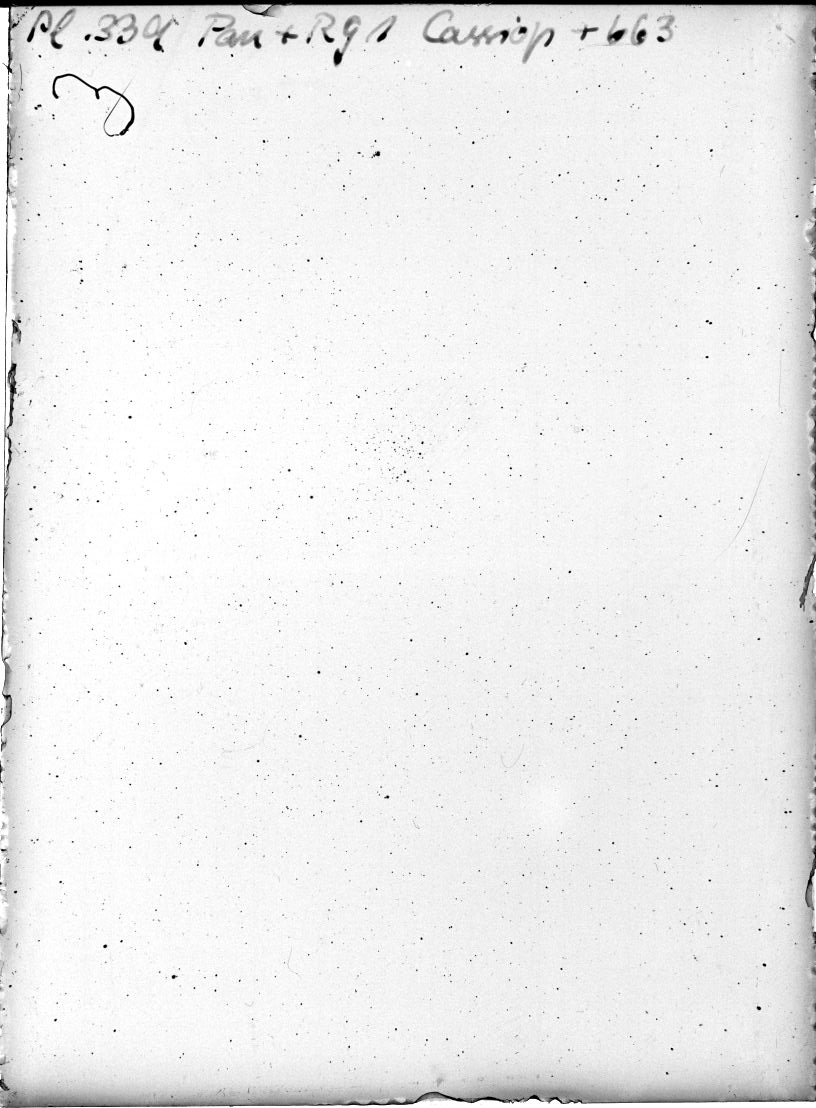 Scan DR00339