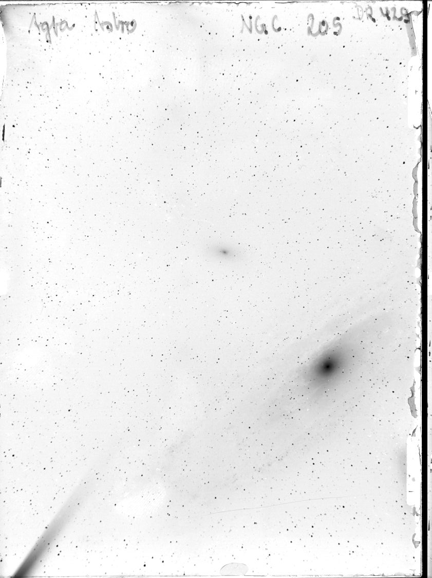 Scan DR00429