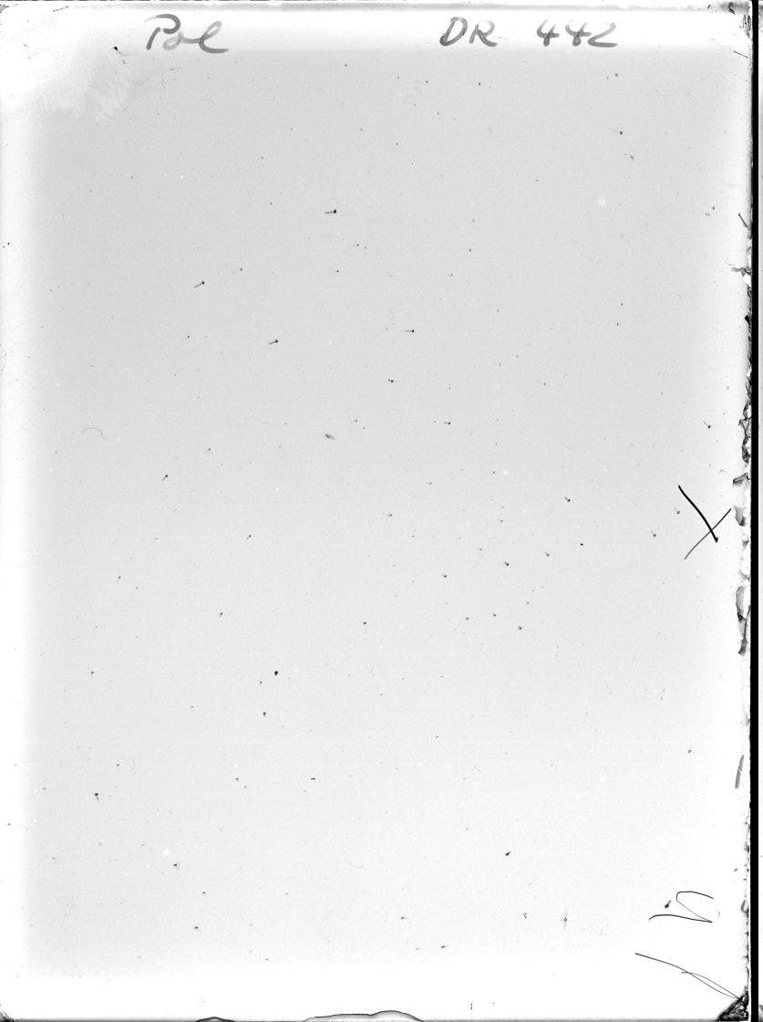 Scan DR00442