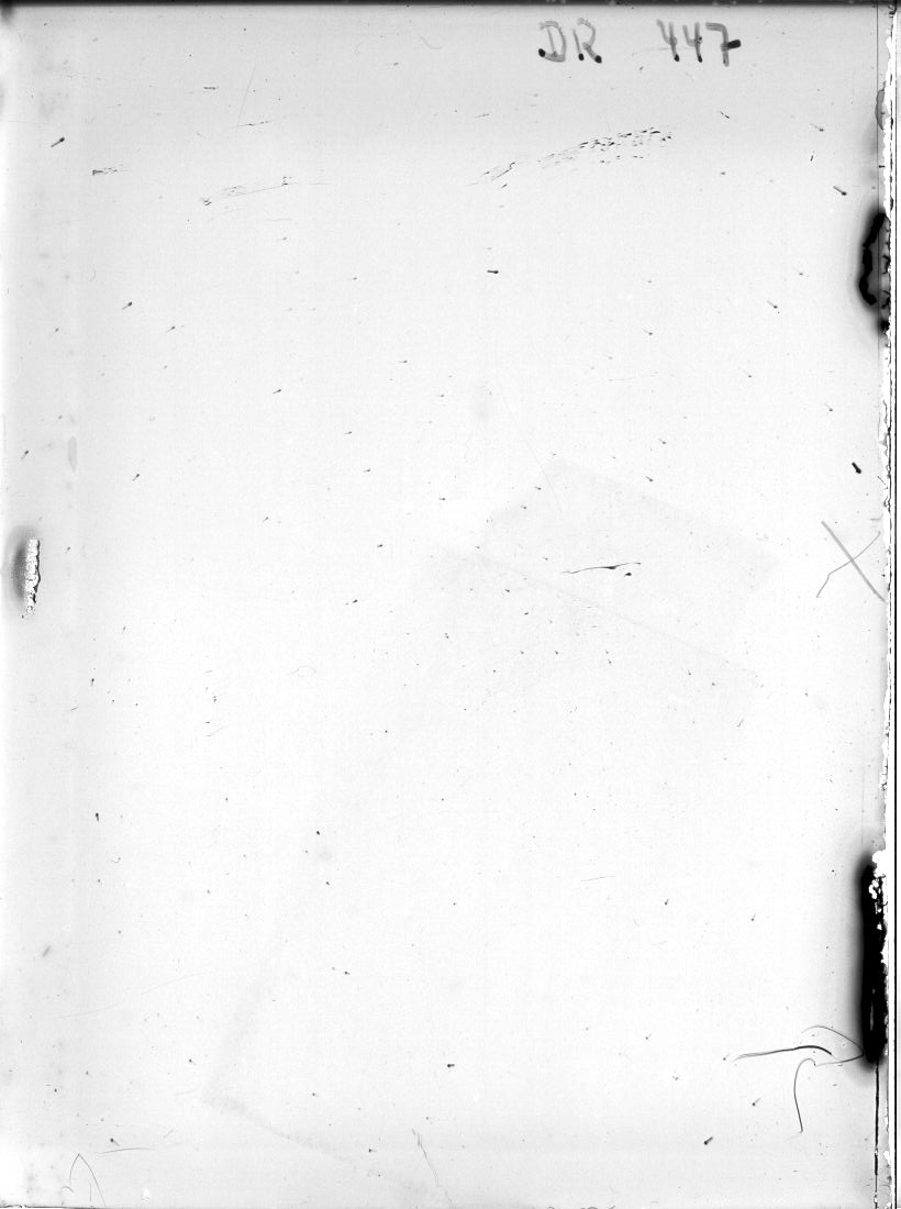 Scan DR00447