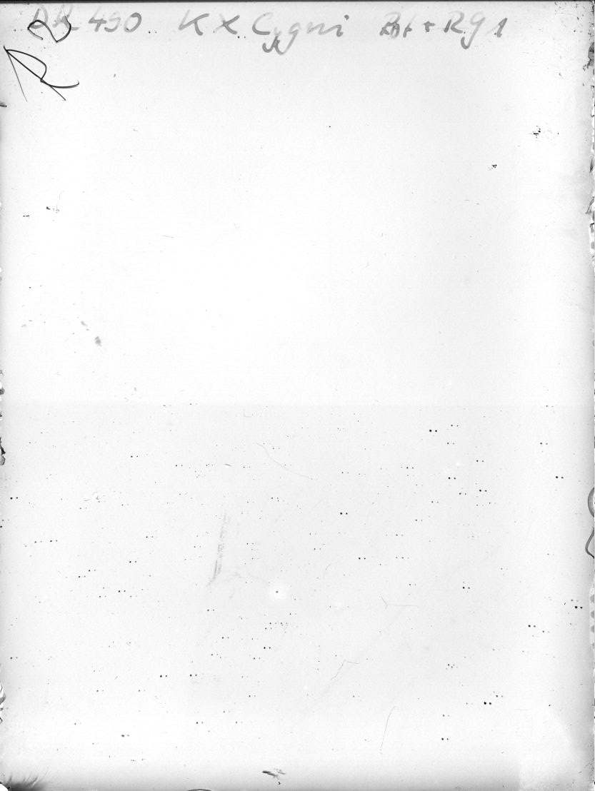 Scan DR00490