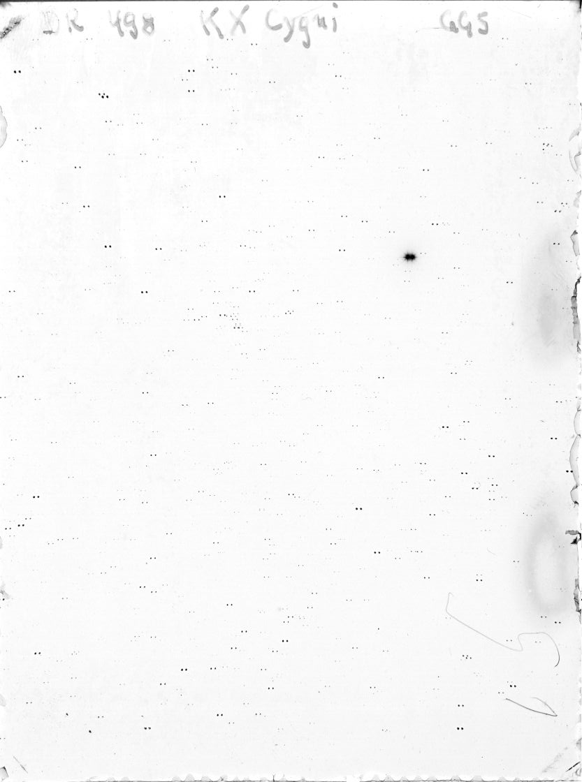 Scan DR00498
