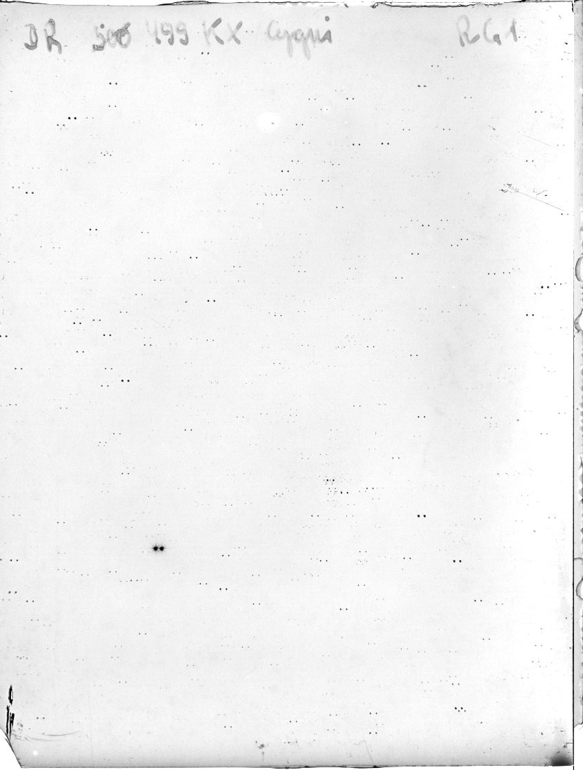 Scan DR00499