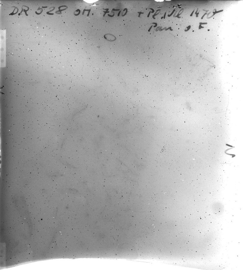 Scan DR00528
