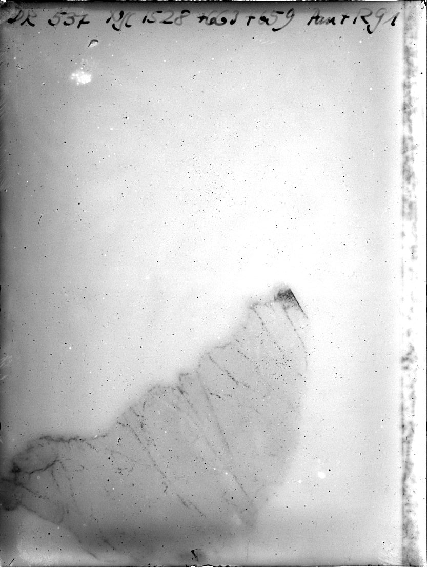 Scan DR00537
