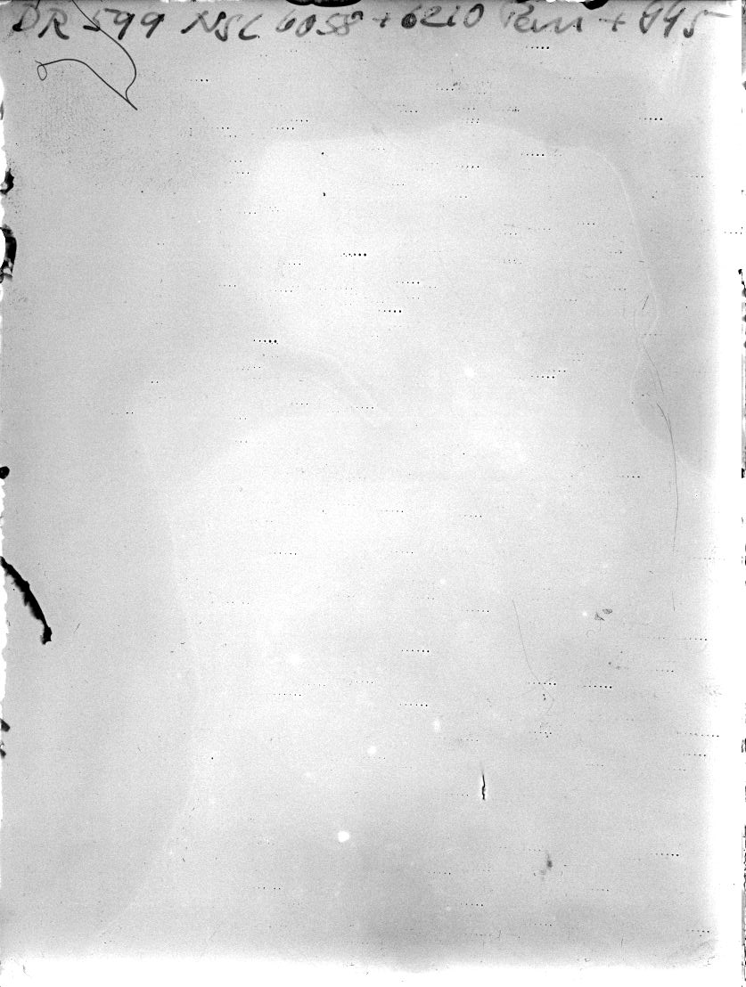 Scan DR00599