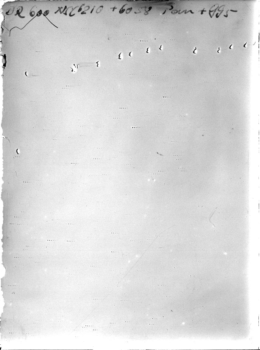 Scan DR00600