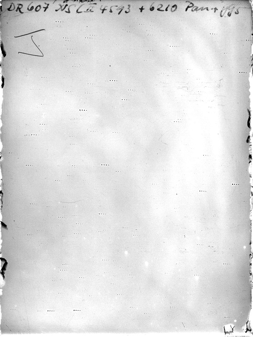 Scan DR00607