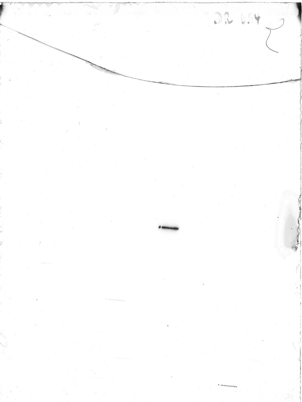 Scan DR00654
