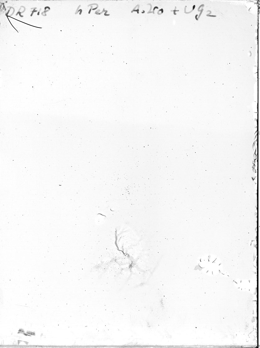 Scan DR00718