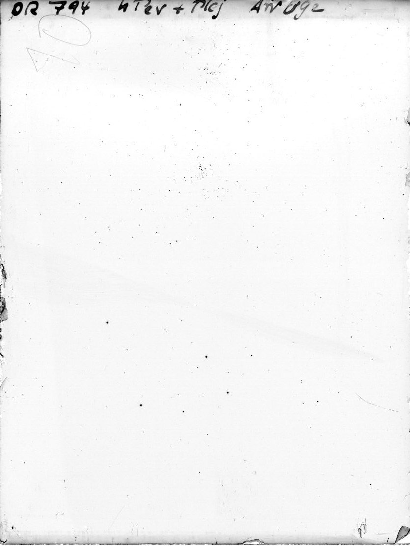 Scan DR00794