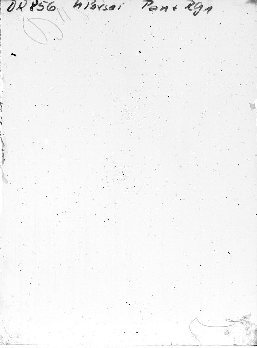 Scan DR00856