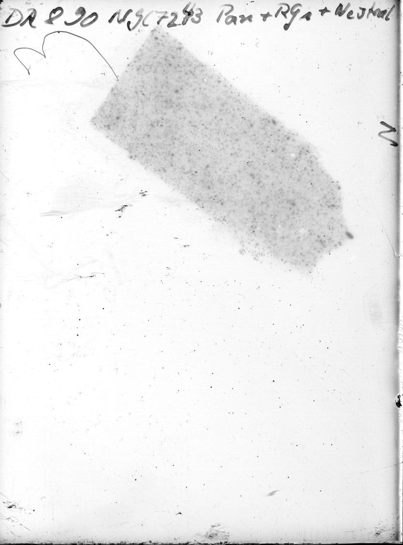 Scan DR00890