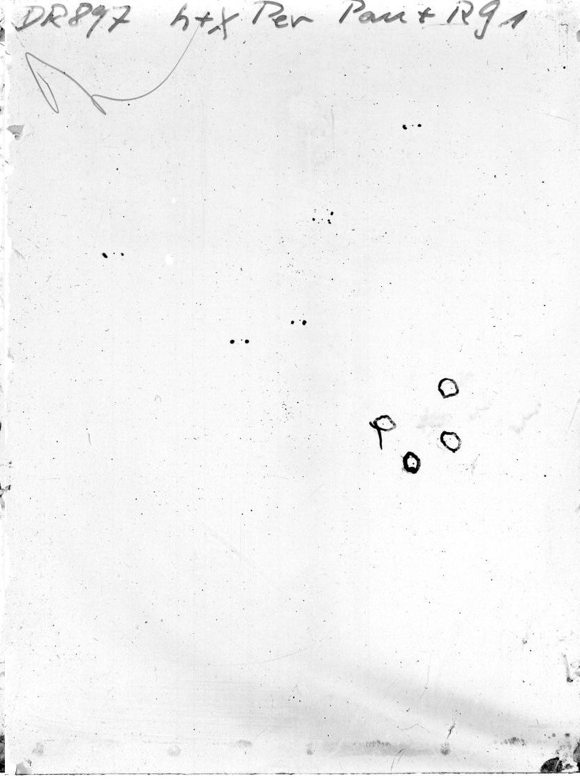 Scan DR00897