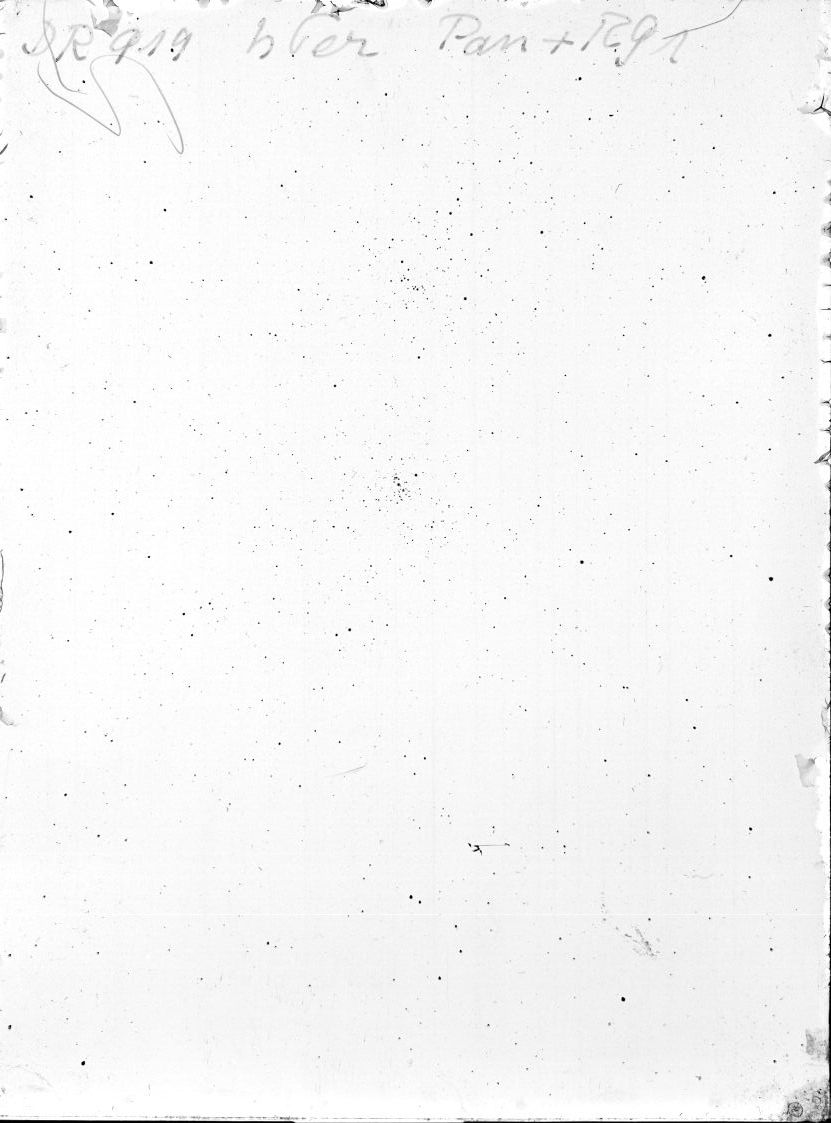 Scan DR00919