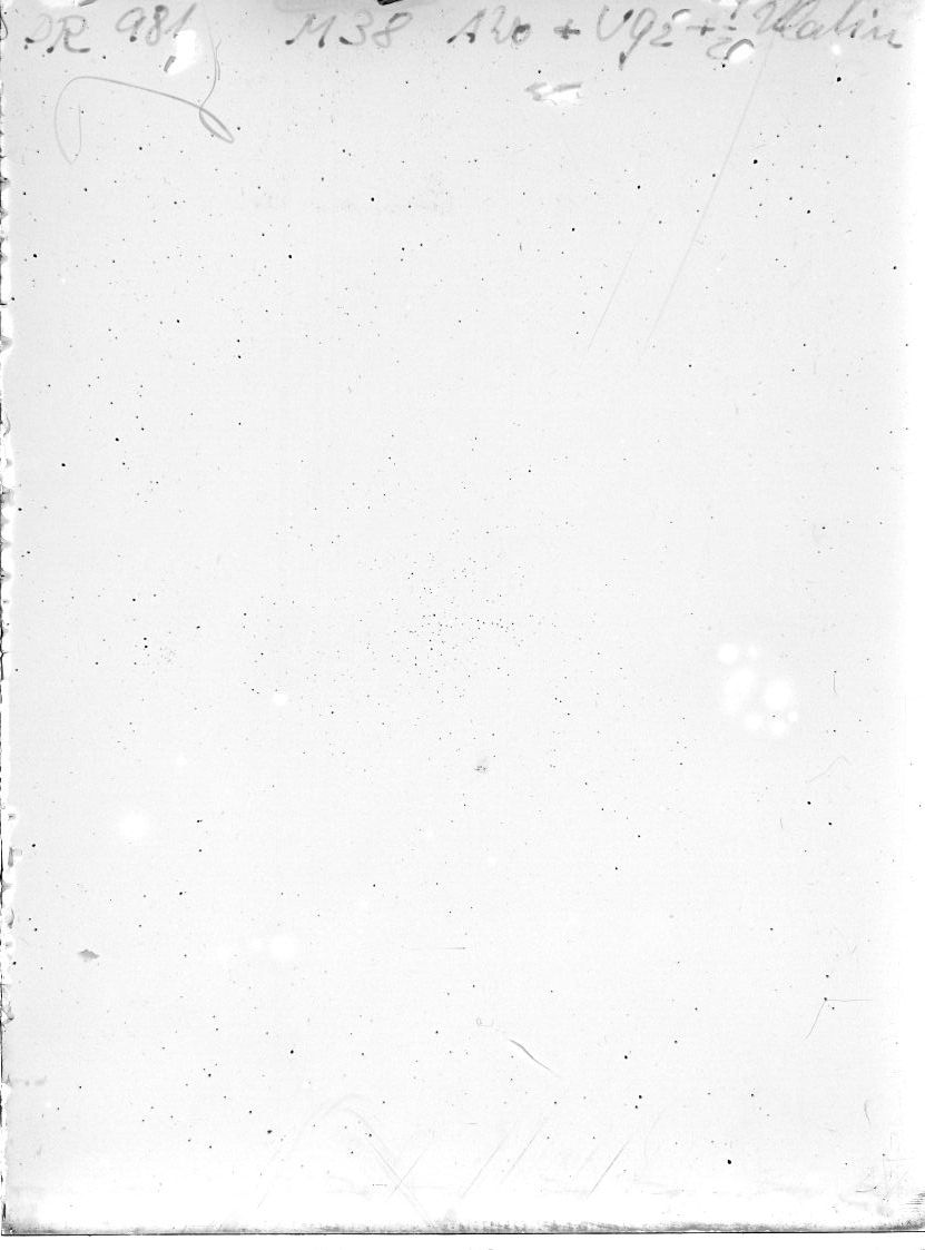 Scan DR00981