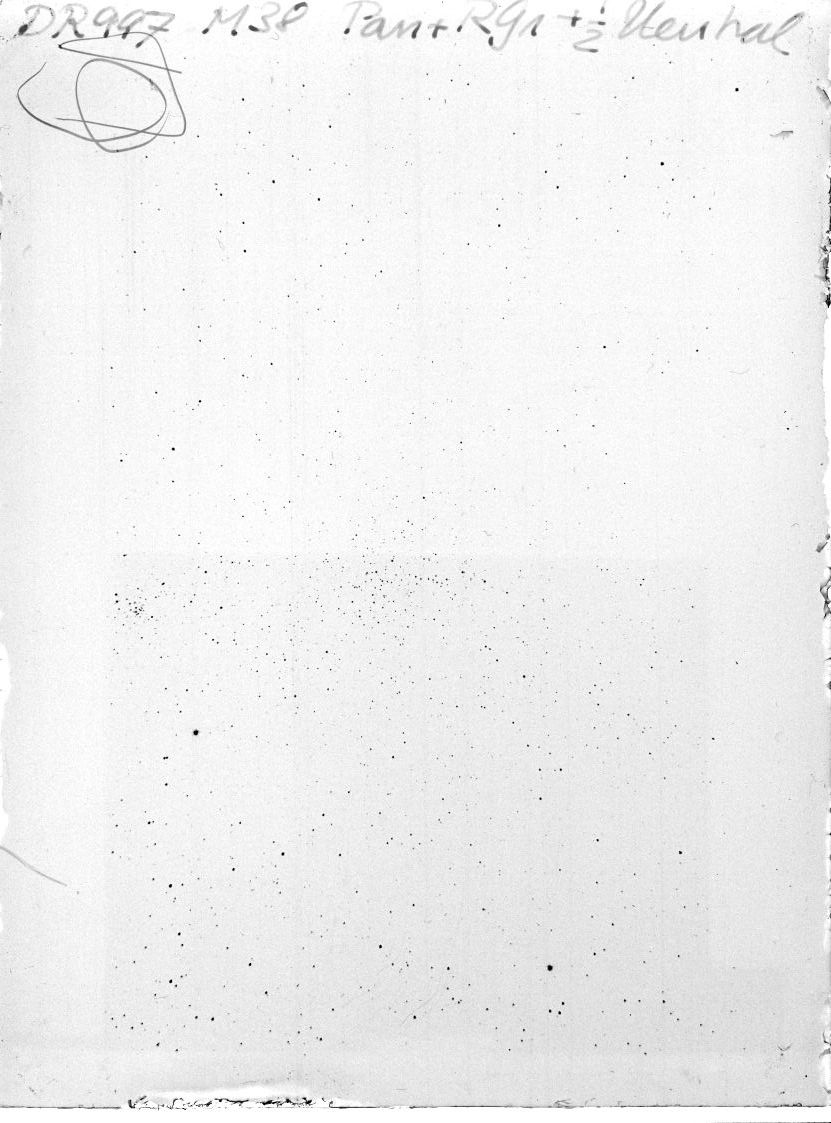 Scan DR00997