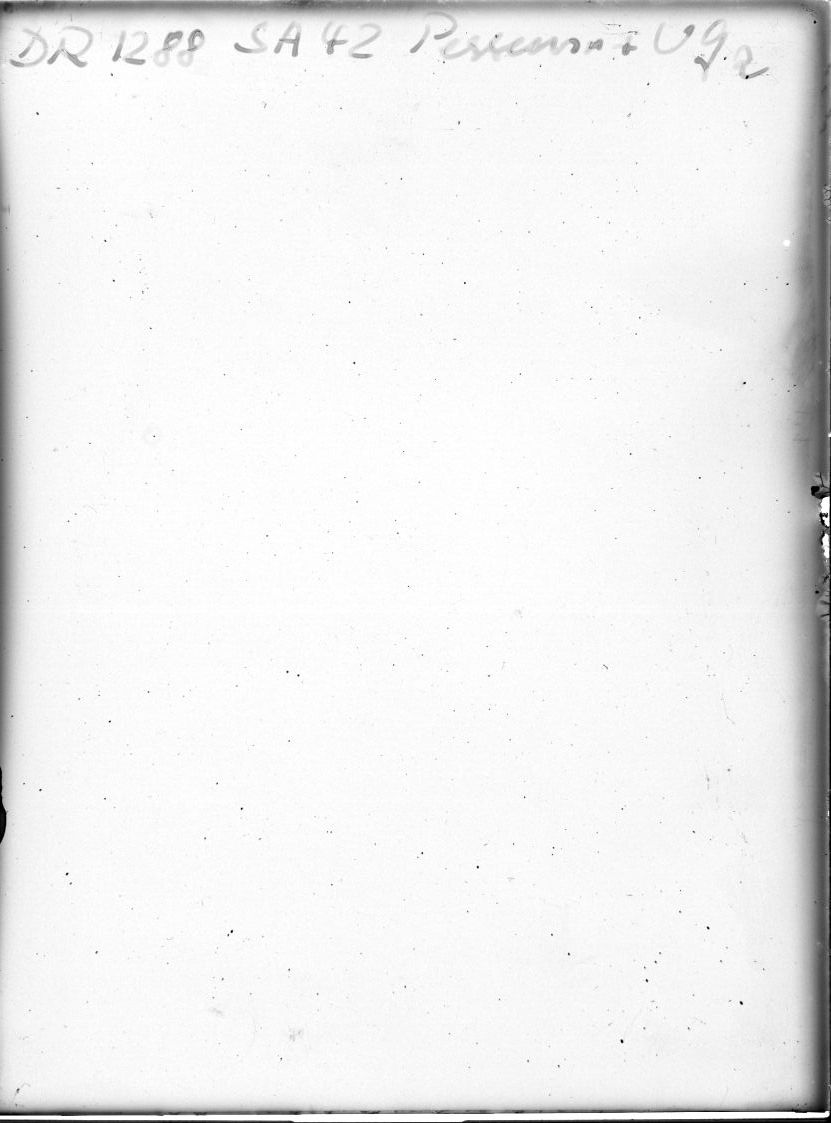 Scan DR01288