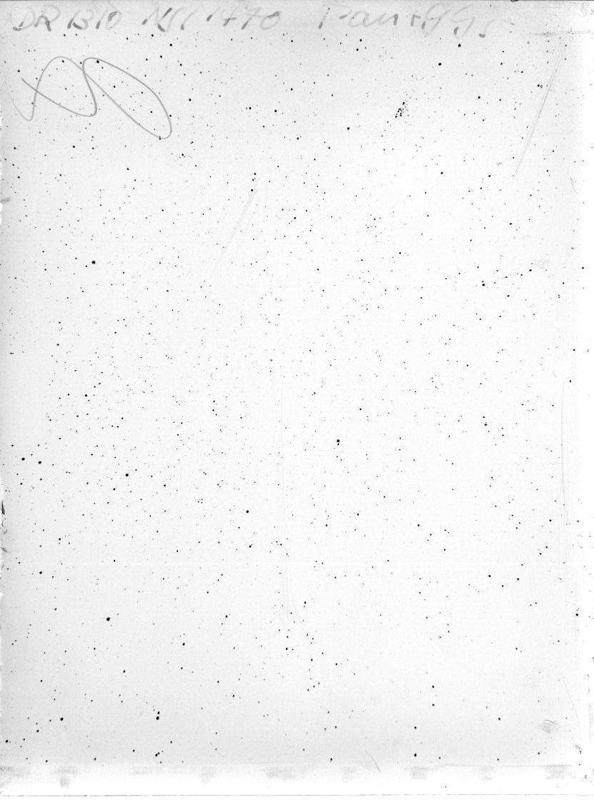 Scan DR01310