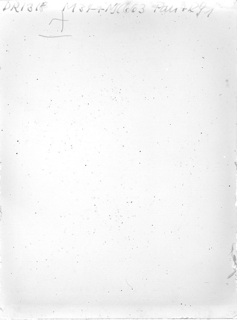Scan DR01318