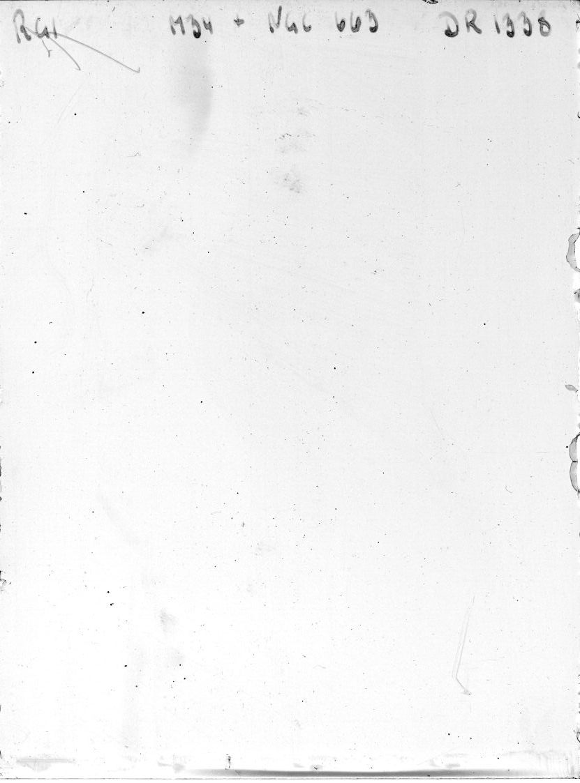 Scan DR01338