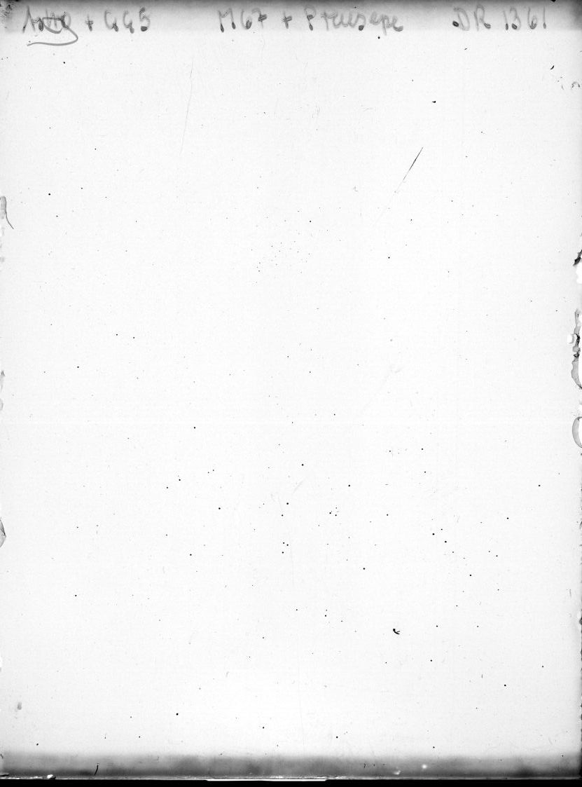 Scan DR01361