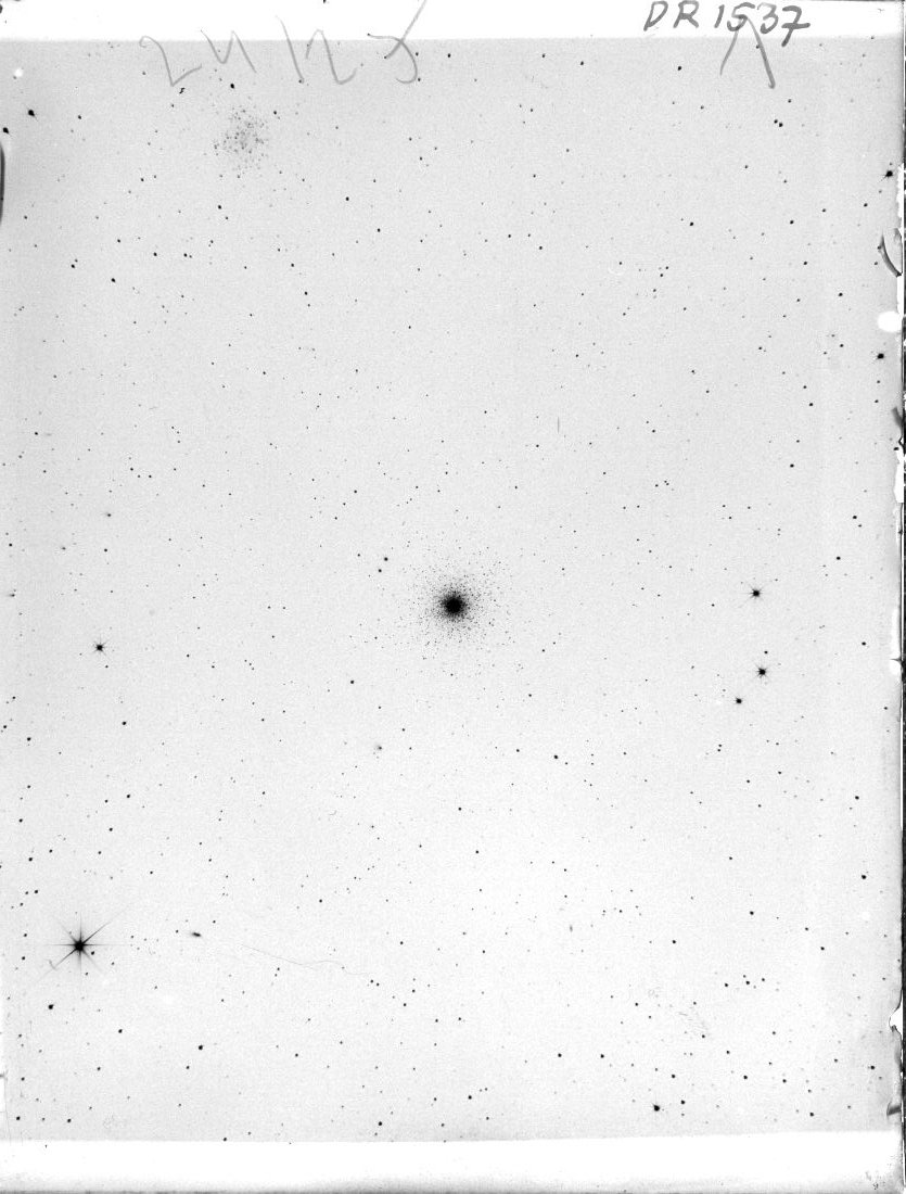 Scan DR01537