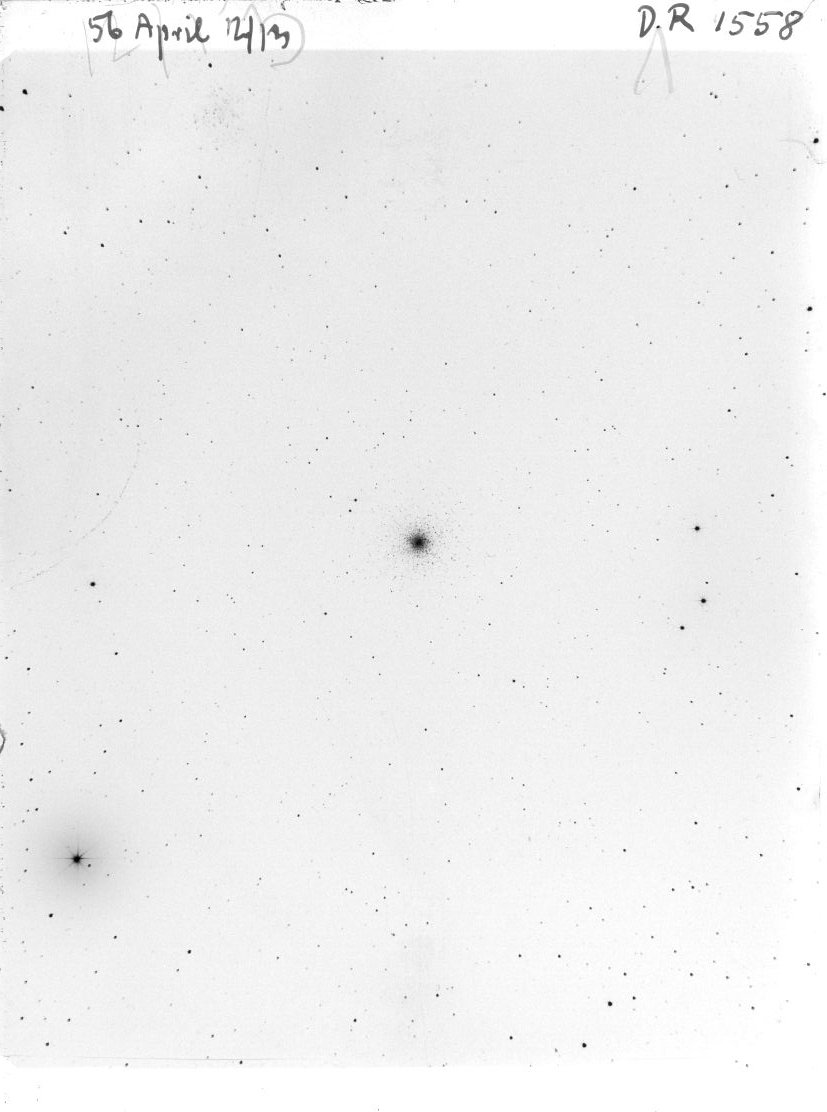 Scan DR01558