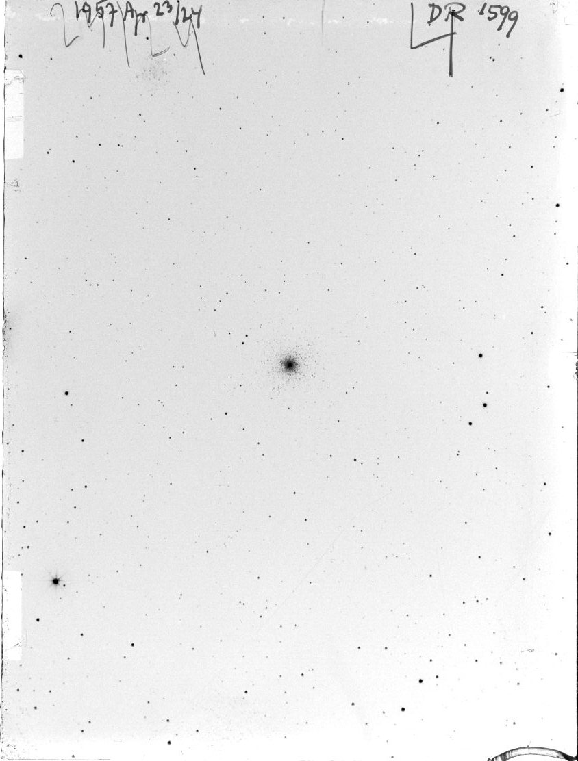 Scan DR01599