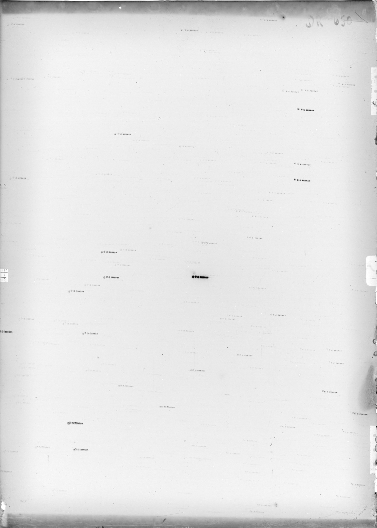 Scan DR00650