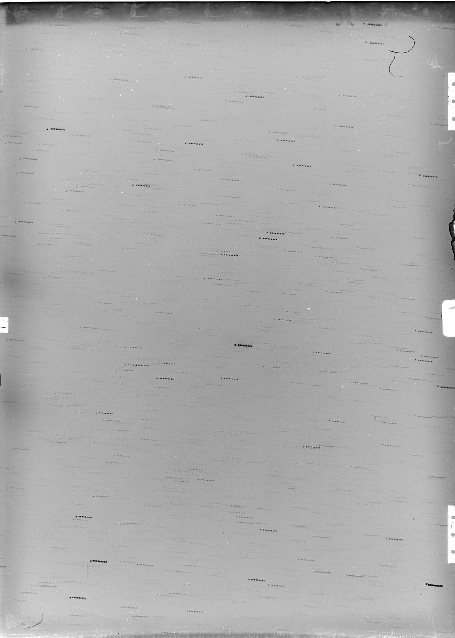 Scan DR00656