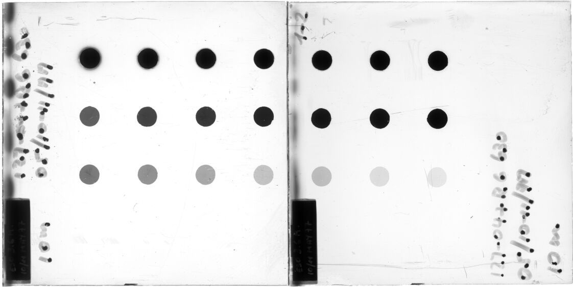 Scan ESP0745c