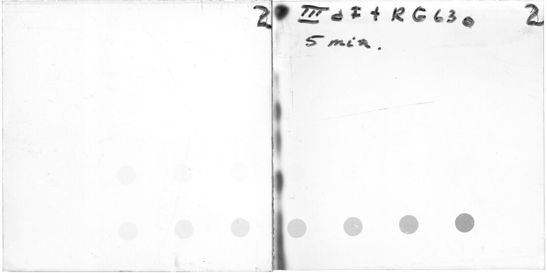 Scan ESP1568f