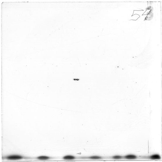 Scan ESP2205