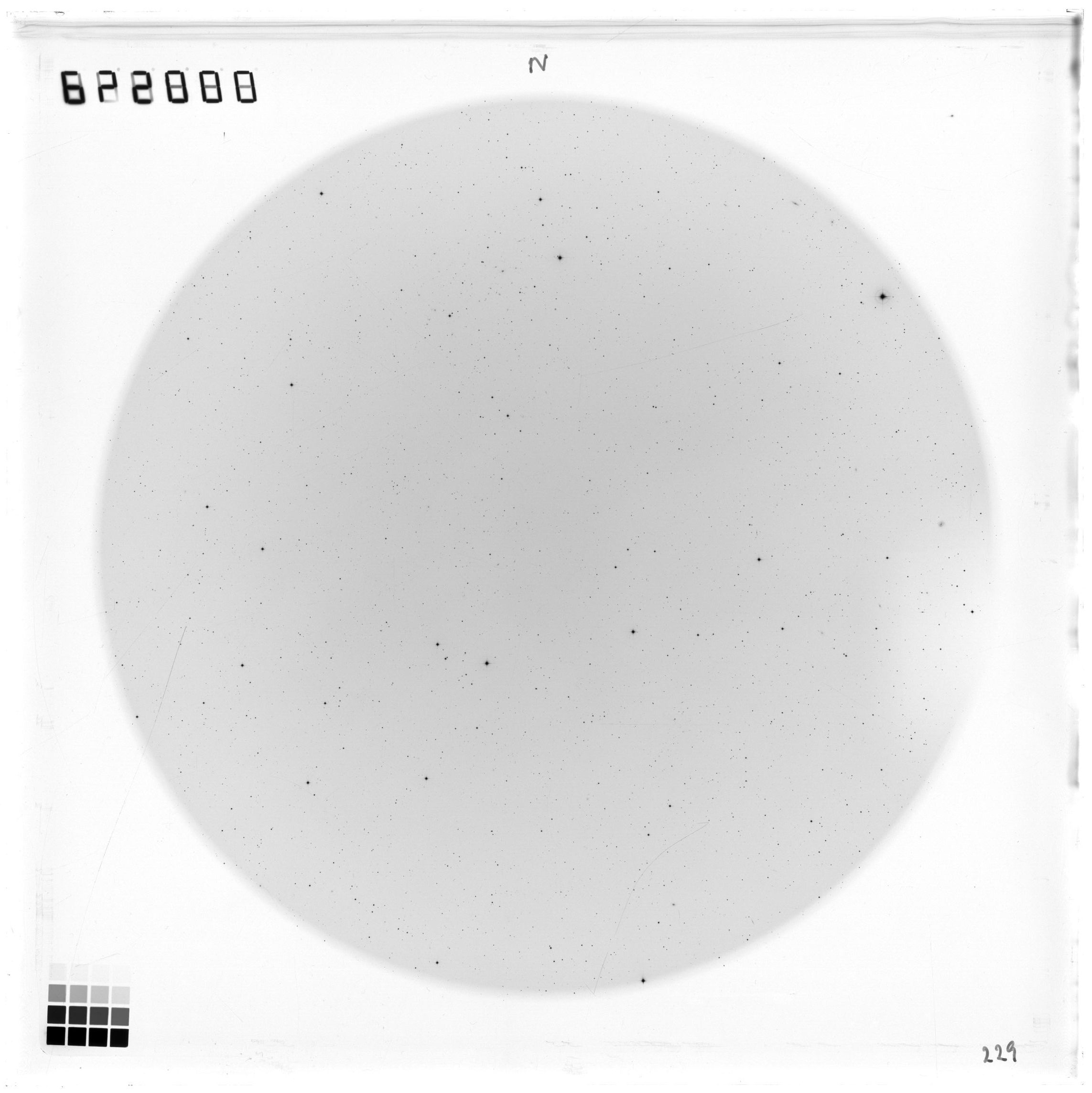 Scan ES00229