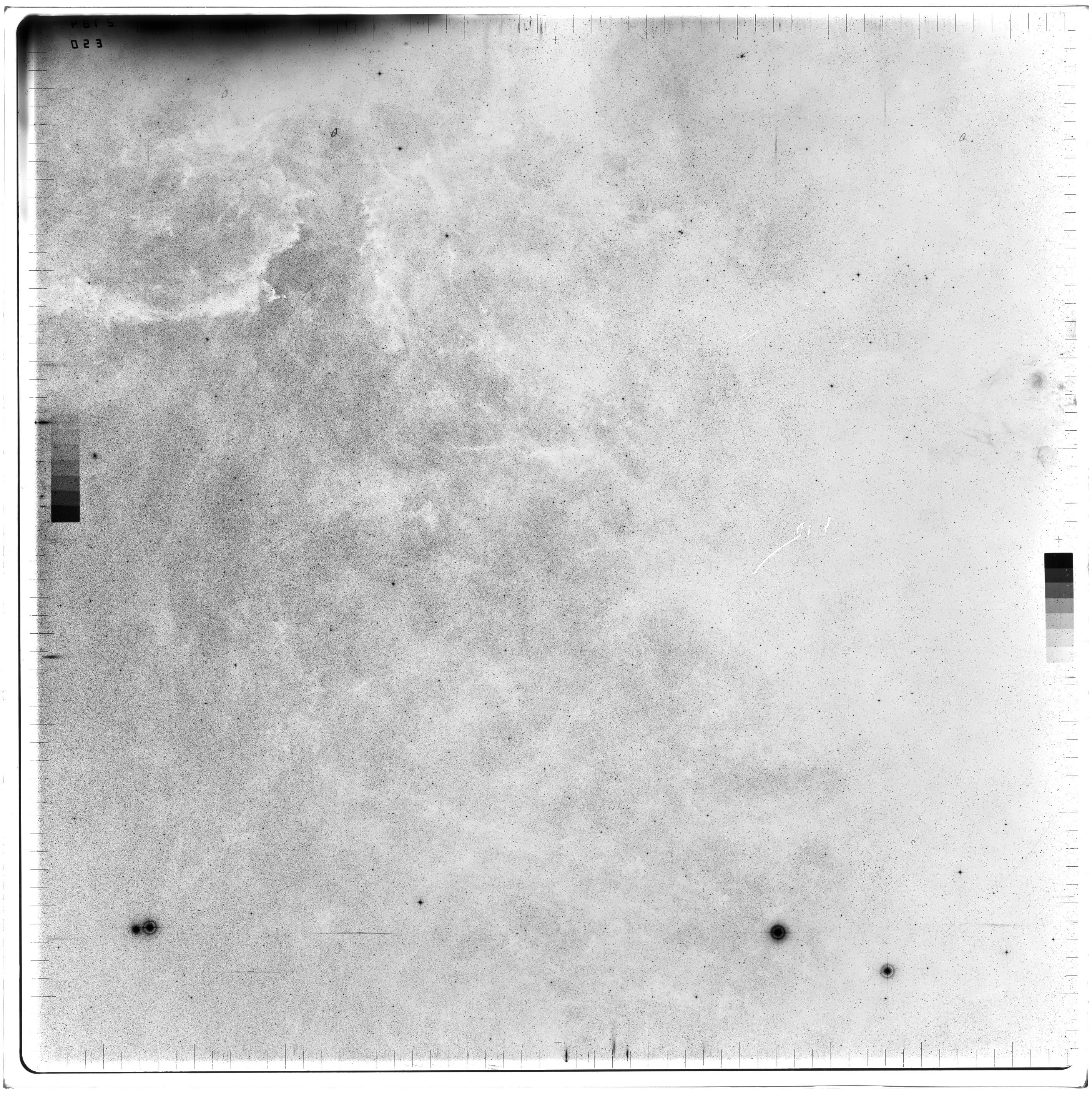 Scan ES02784