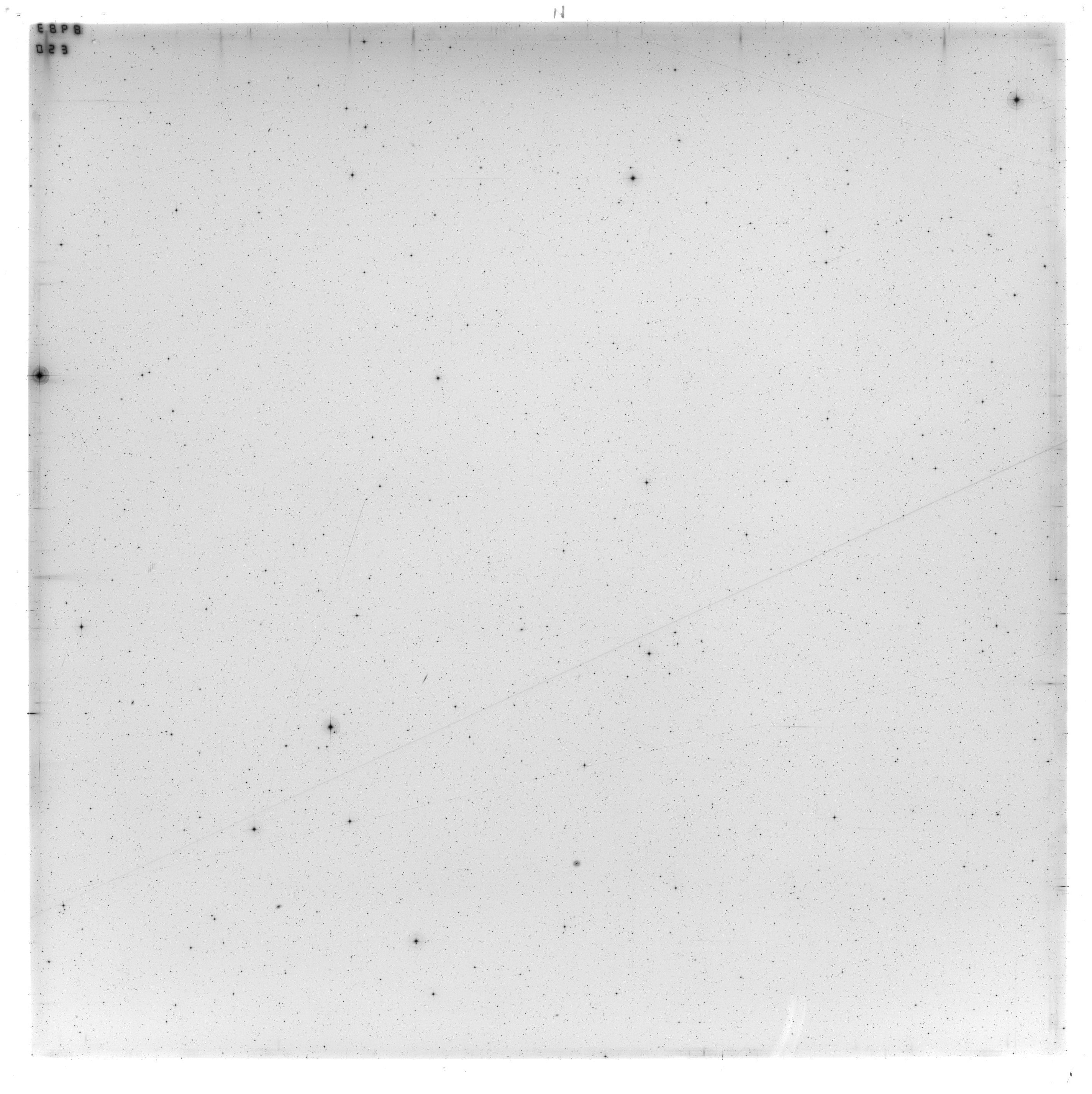 Scan ES08983a