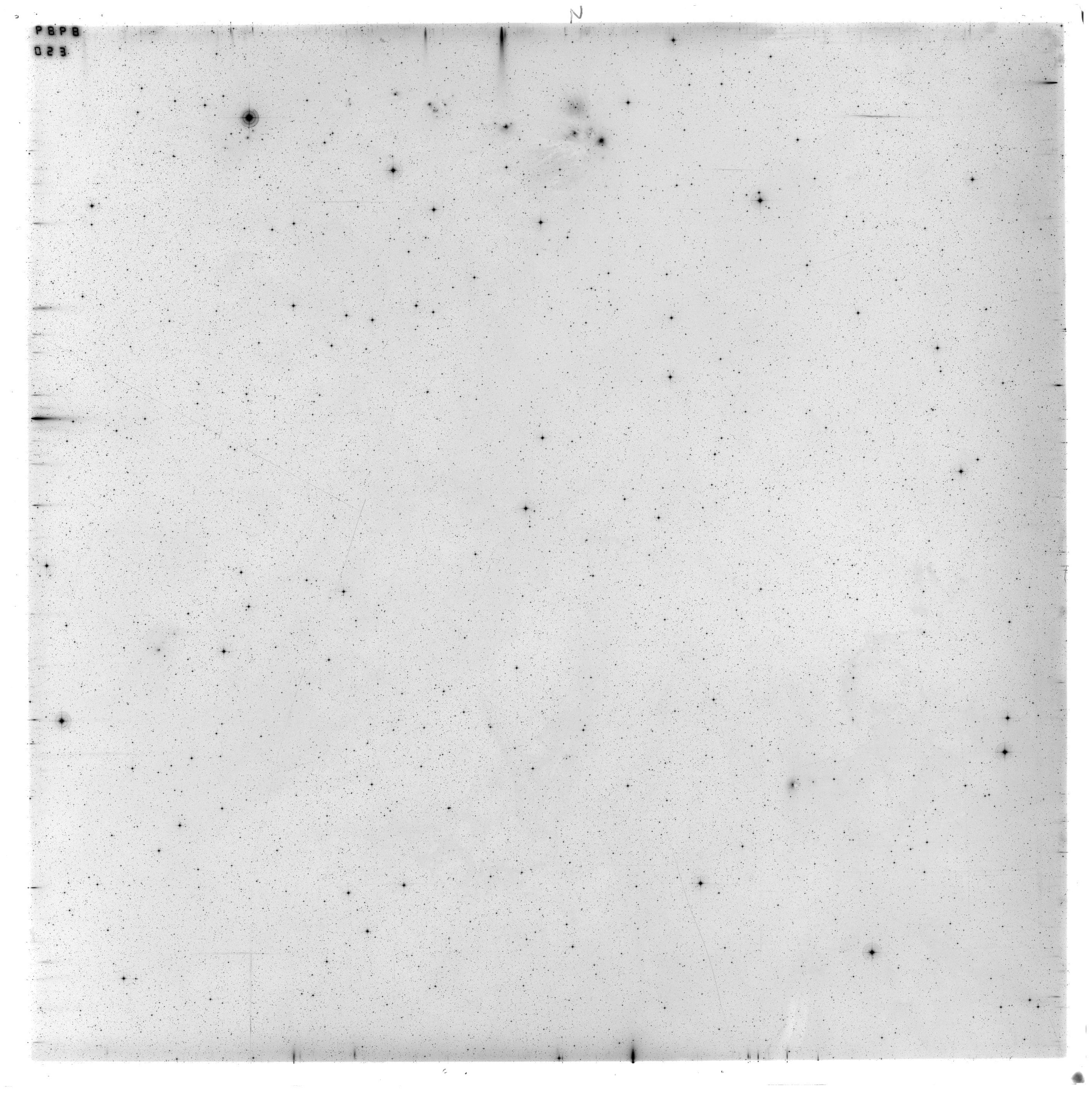 Scan ES08989a
