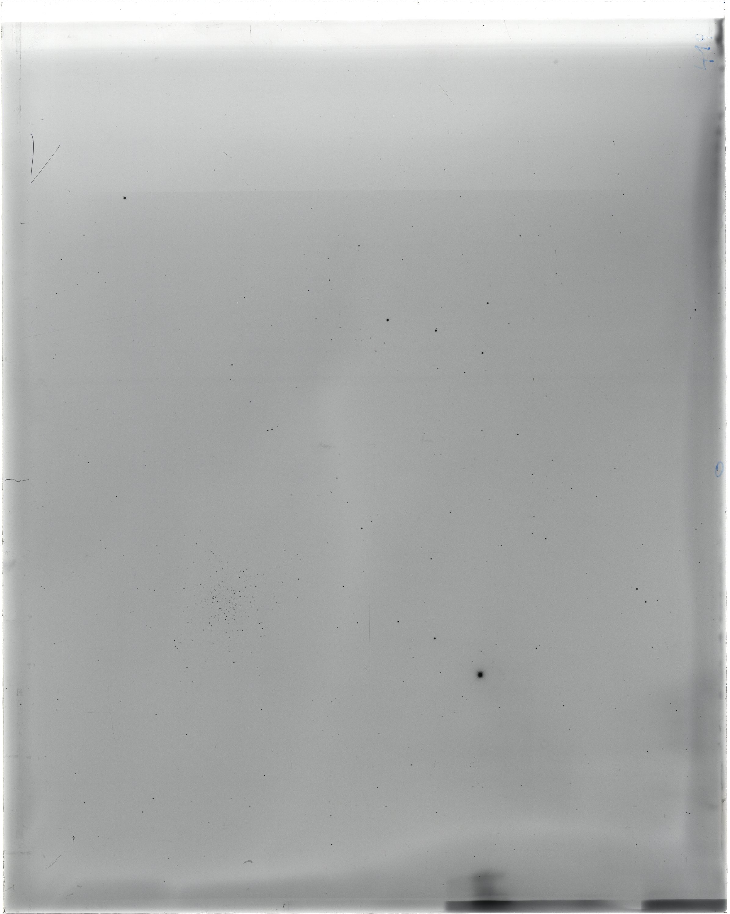 Scan FO00419