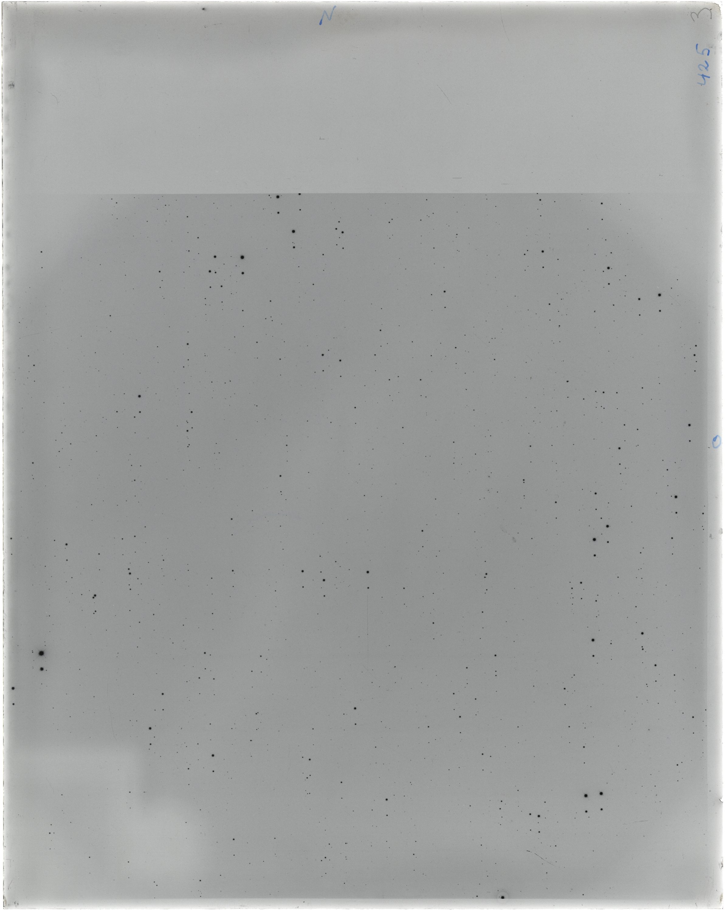 Scan FO00425