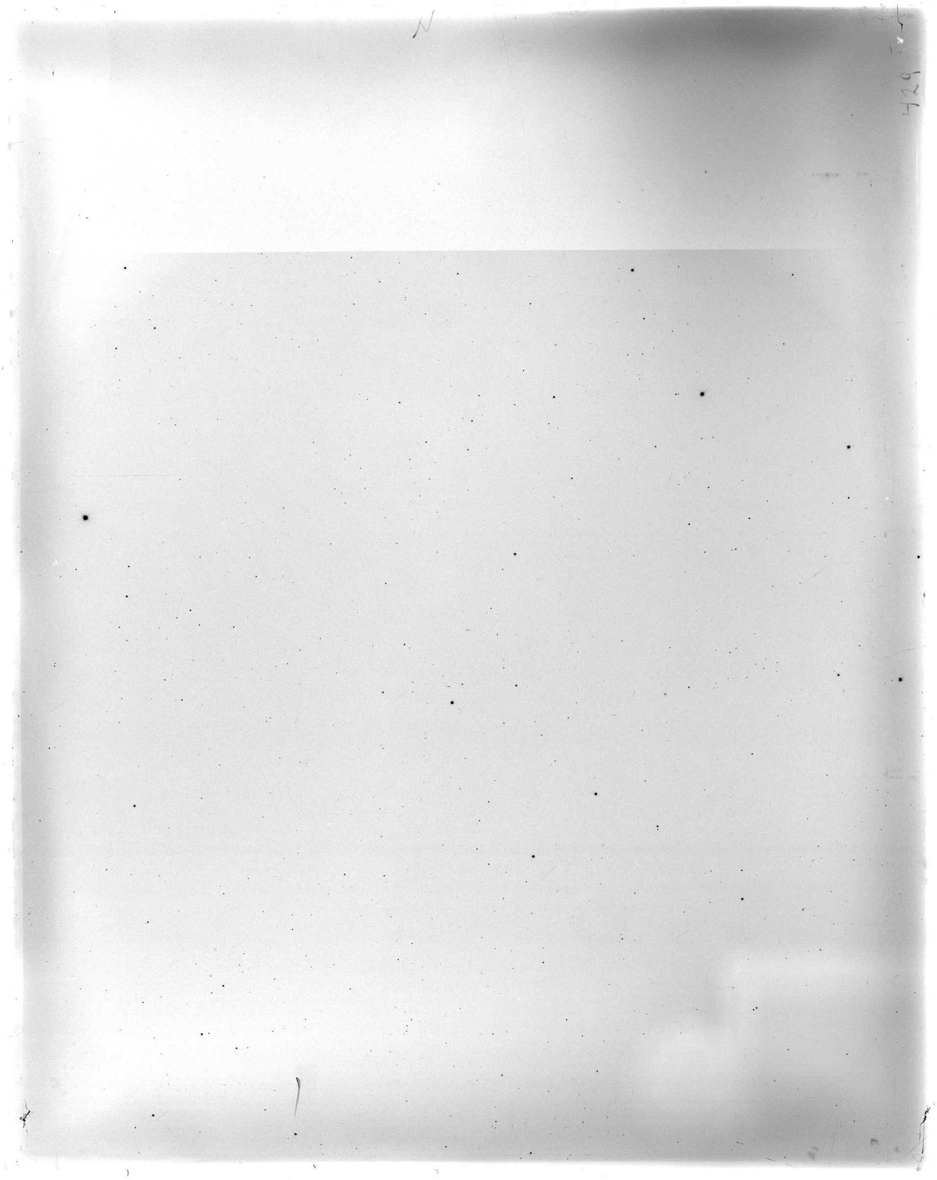 Scan FO00429