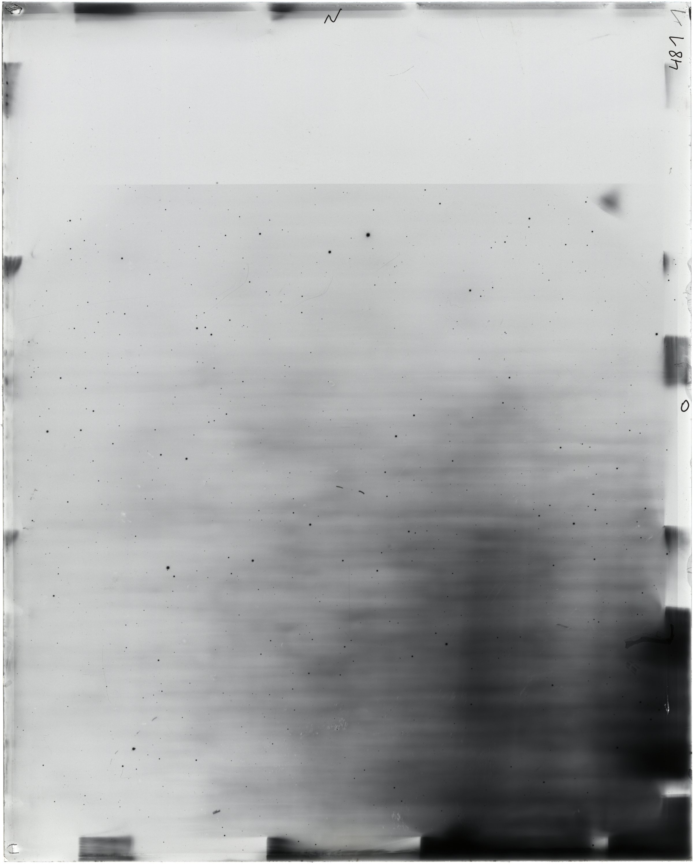 Scan FO00481