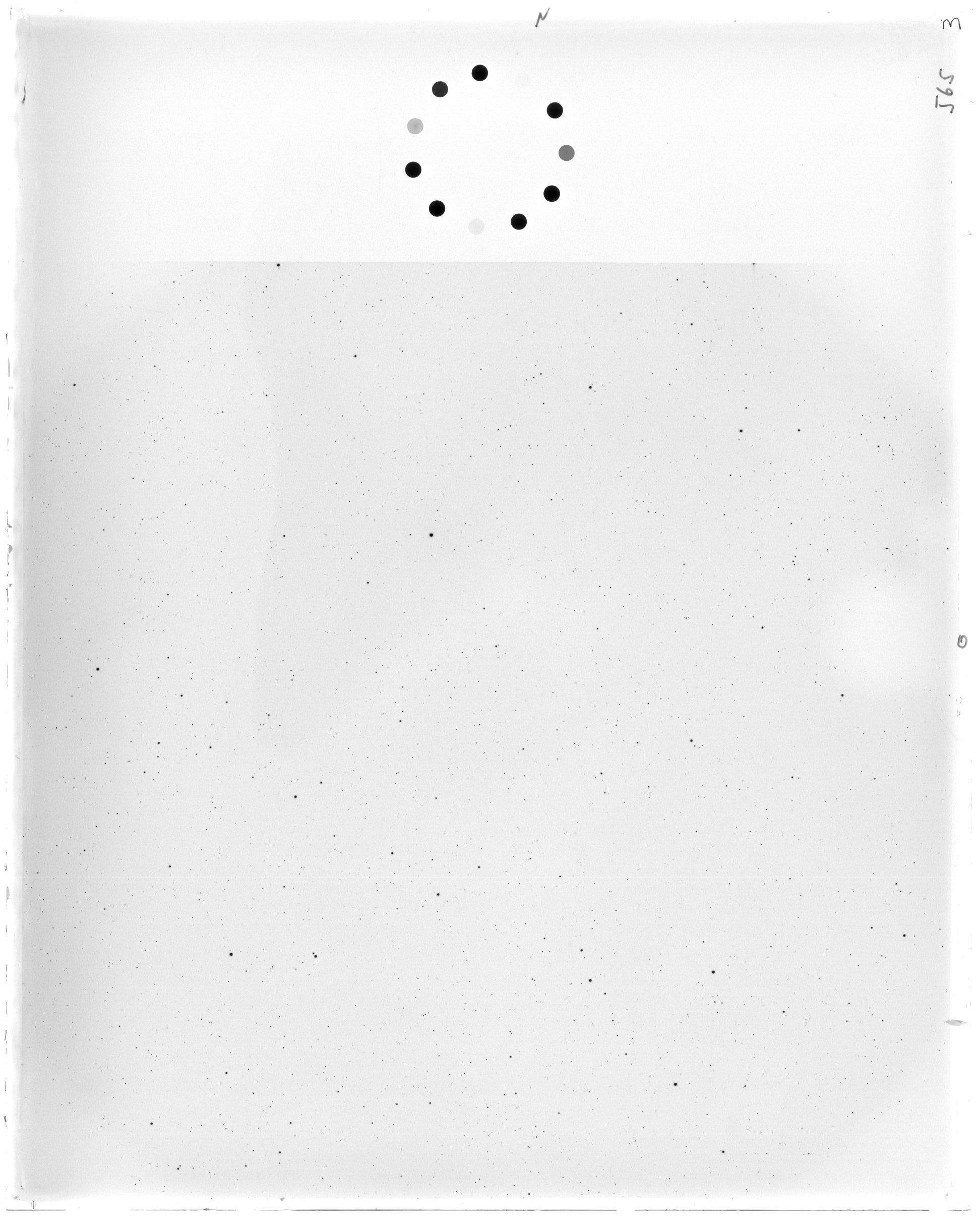 Scan FO00565