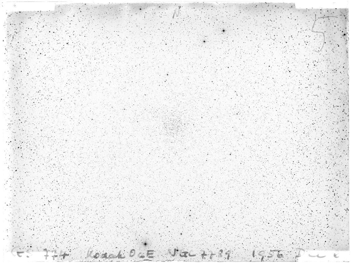 Scan GS00774