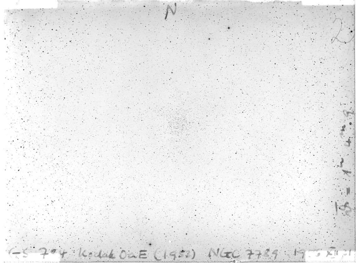 Scan GS00784
