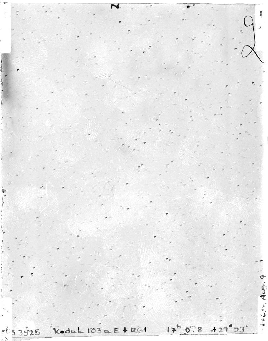 Scan GS03525