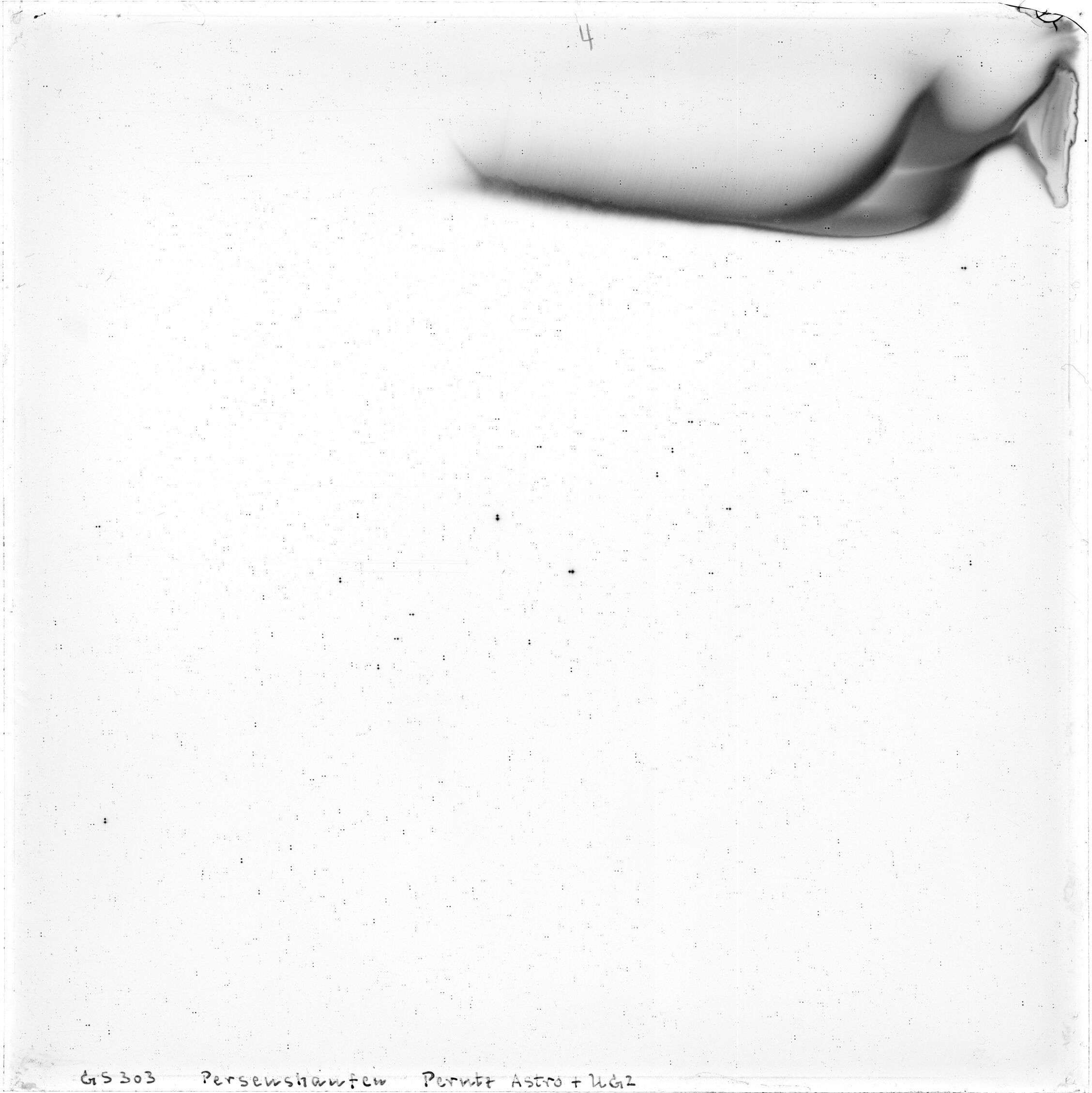 Scan GS00303