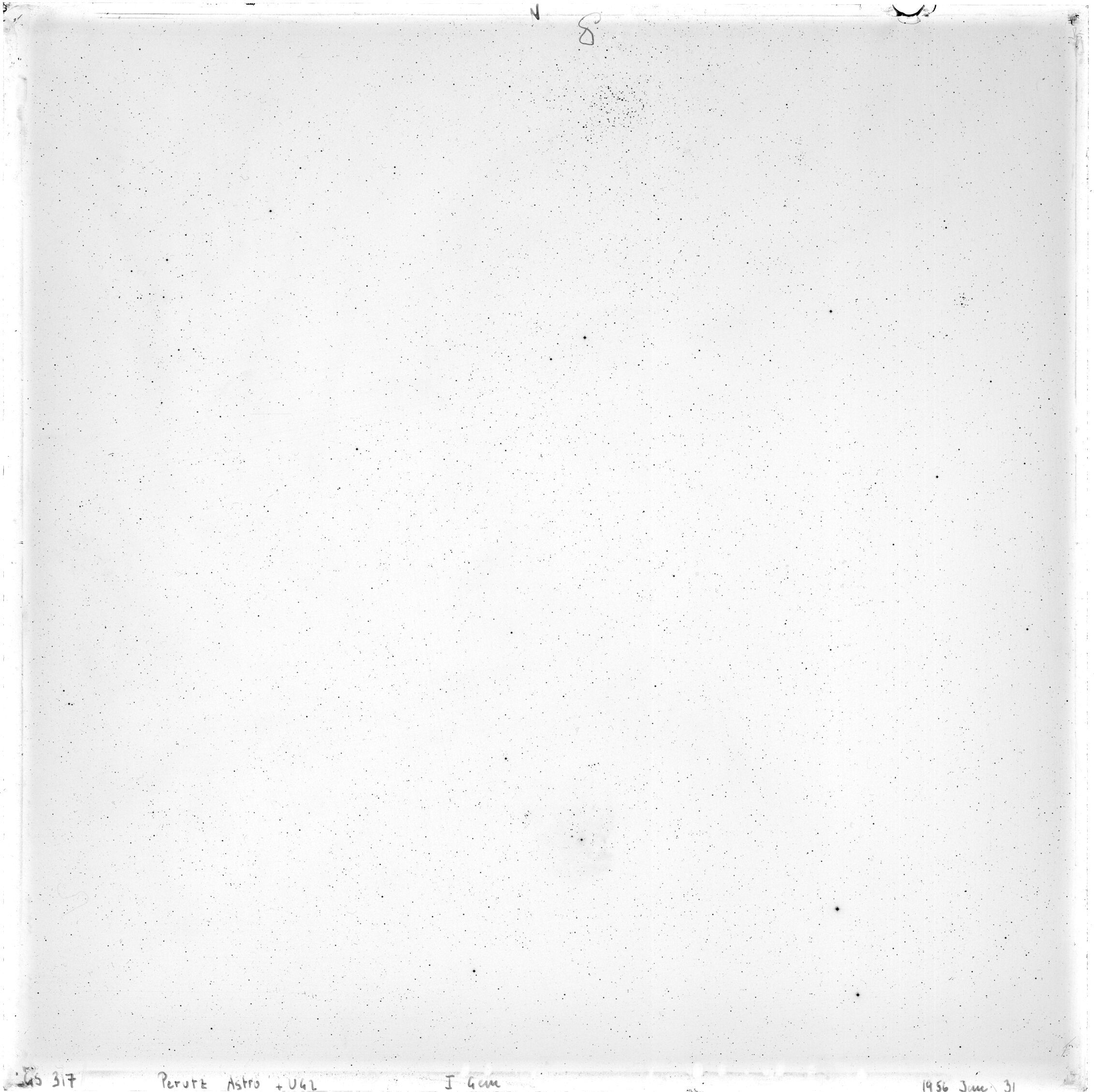 Scan GS00317