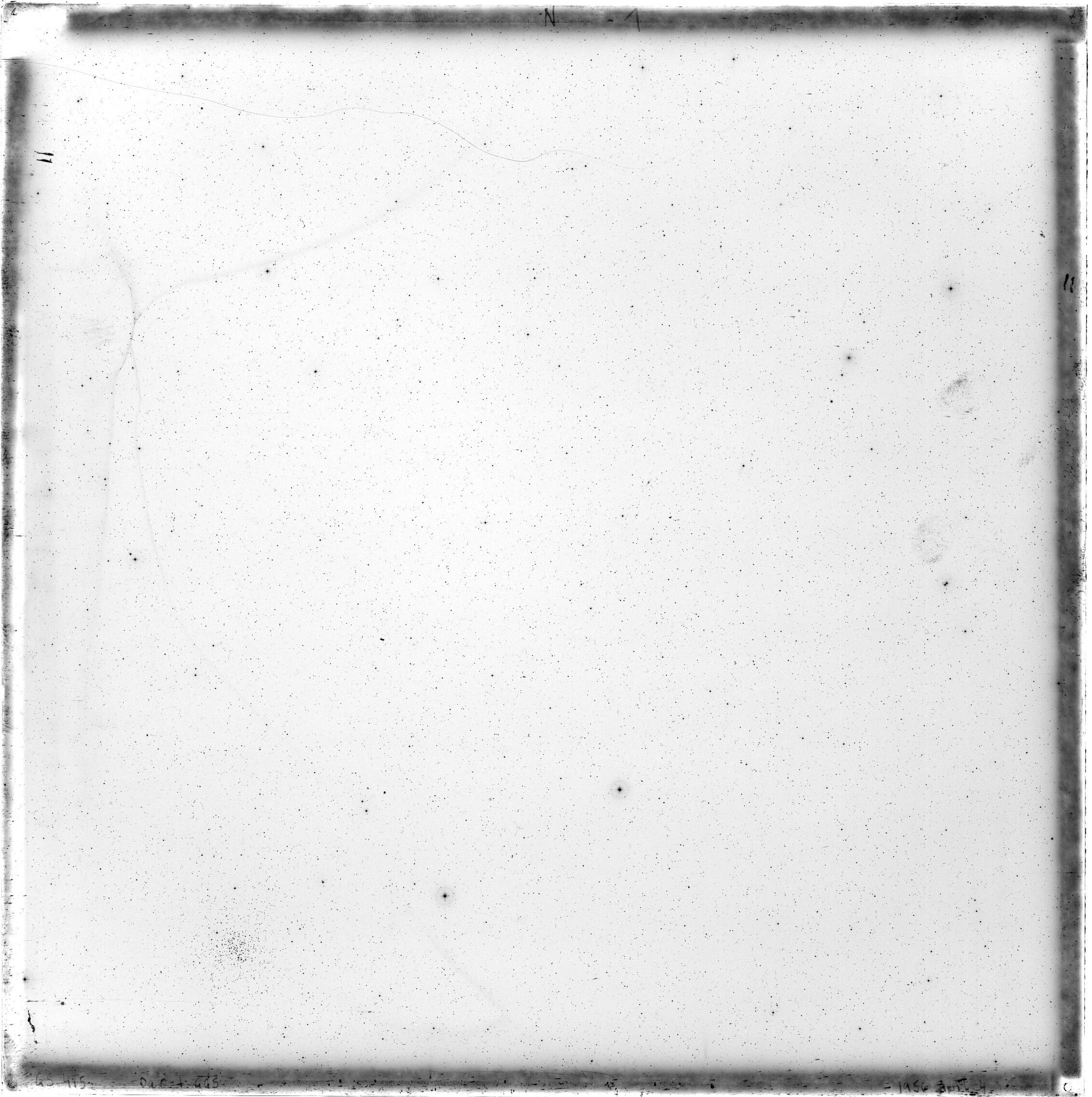 Scan GS00415