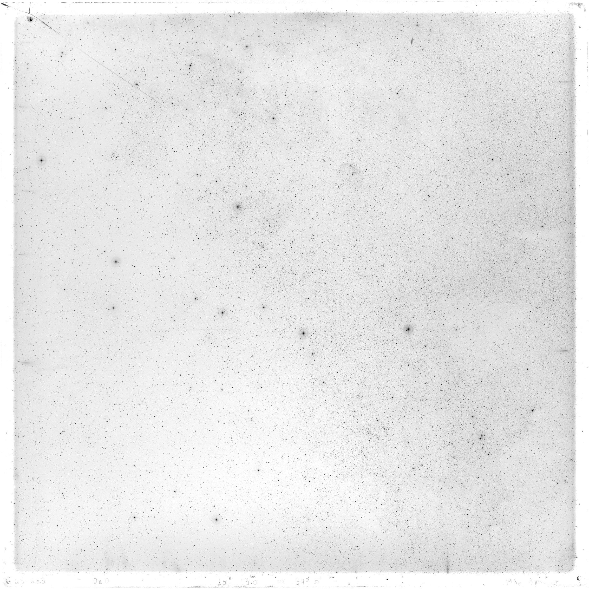 Scan GS00433